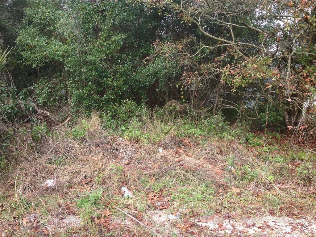 Michigan Dr., Eustis, FL 32736