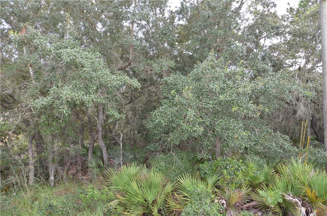 322 Kingfish Dr., Poinciana, FL 34759