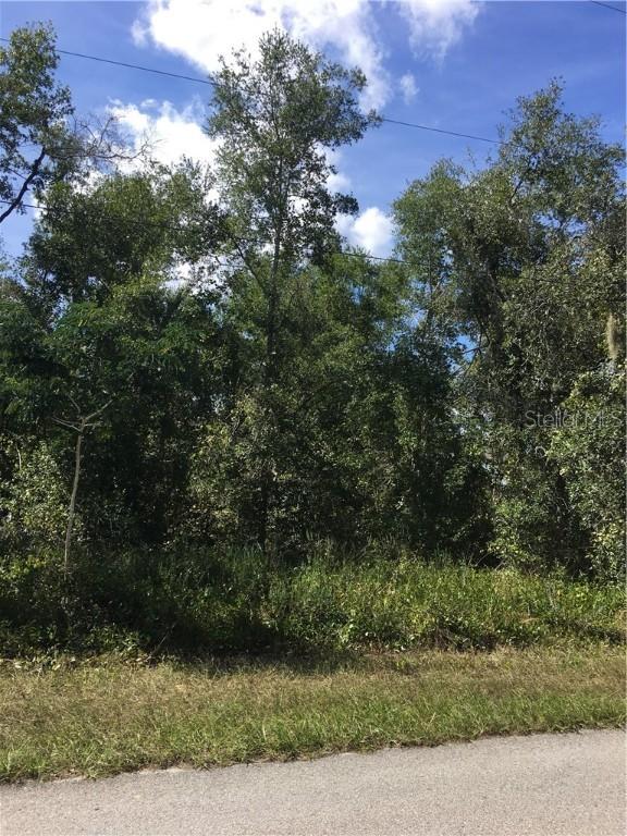 Acacia Walk, Lake Wales, FL 33898