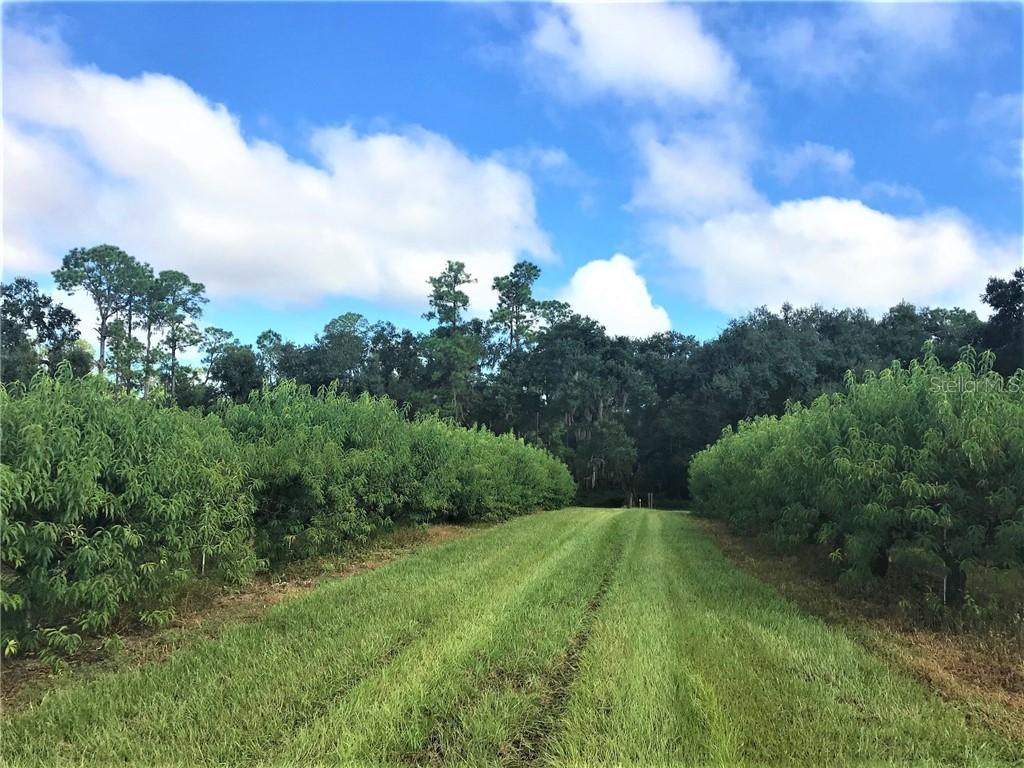 545 Old Bartow Lake Wales Rd., Bartow, FL 33830
