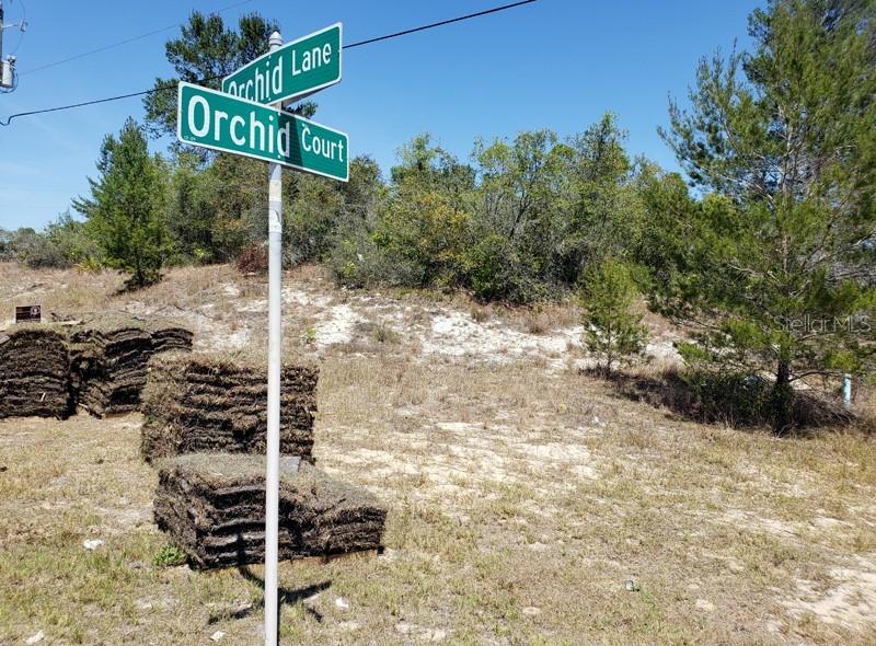 99 Orchid Ln., Poinciana, FL 34759