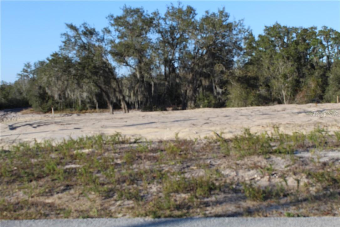 4153 Orchid Blvd., Lake Wales, FL 33898