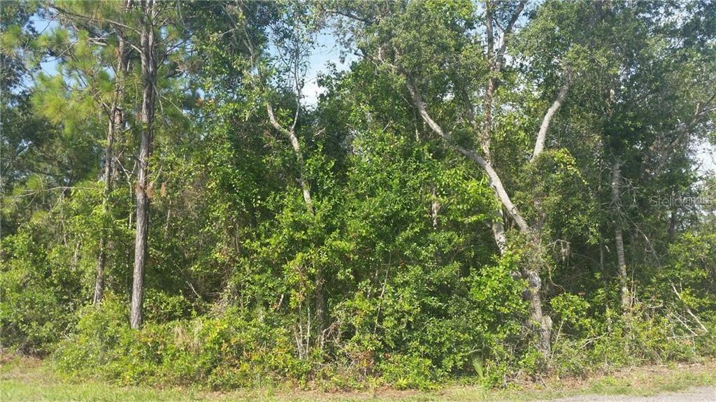 Orchid Dr., Indian Lake Estates, FL 33855
