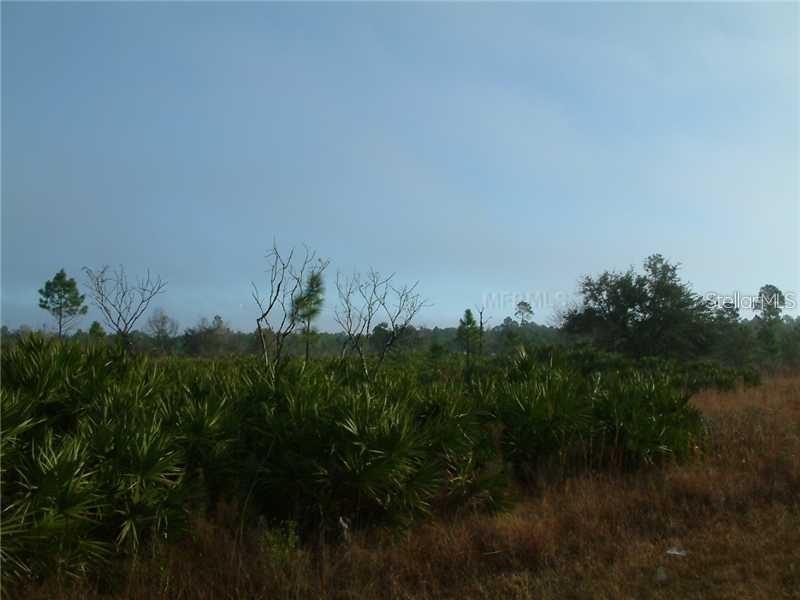 Tampa Dr., Indian Lake Estates, FL 33855
