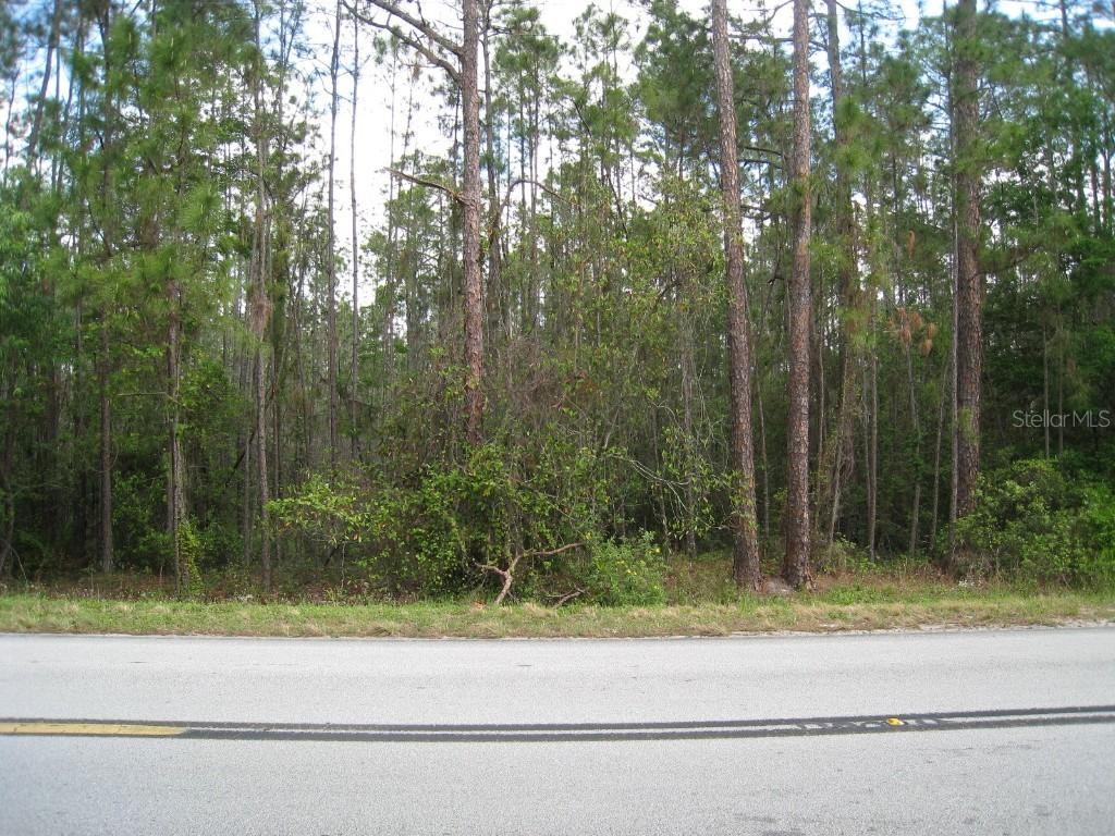Deen Still Rd., Davenport, FL 33897