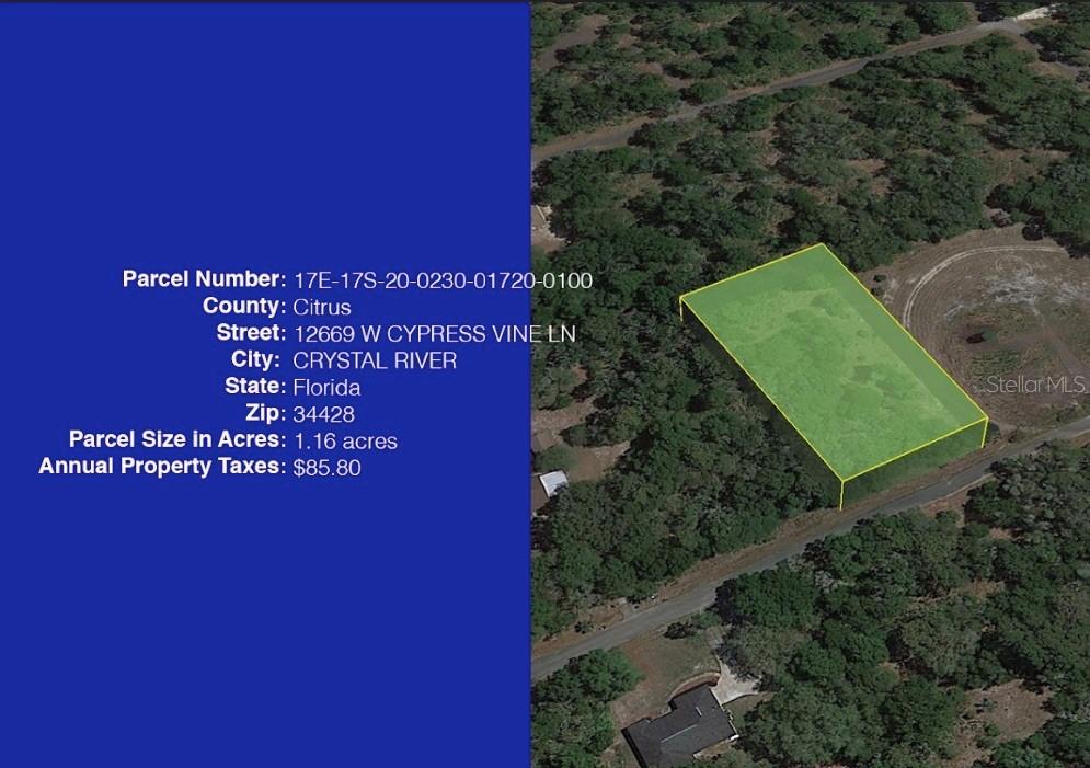 12669 W Cypress Vine Ln., Crystal River, FL 34428