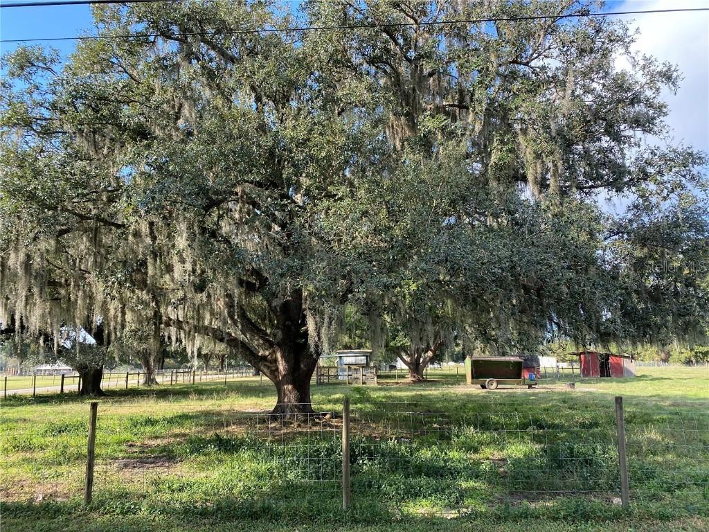 Bryant Rd., Lakeland, FL 33809
