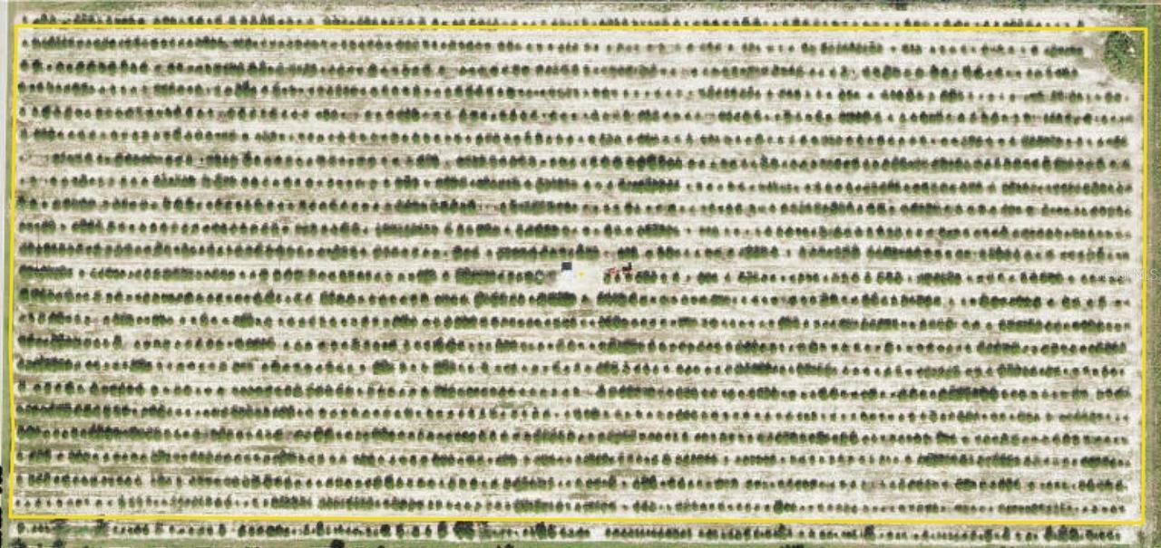 W Lake Wales Alturas Rd., Bartow, FL 33830