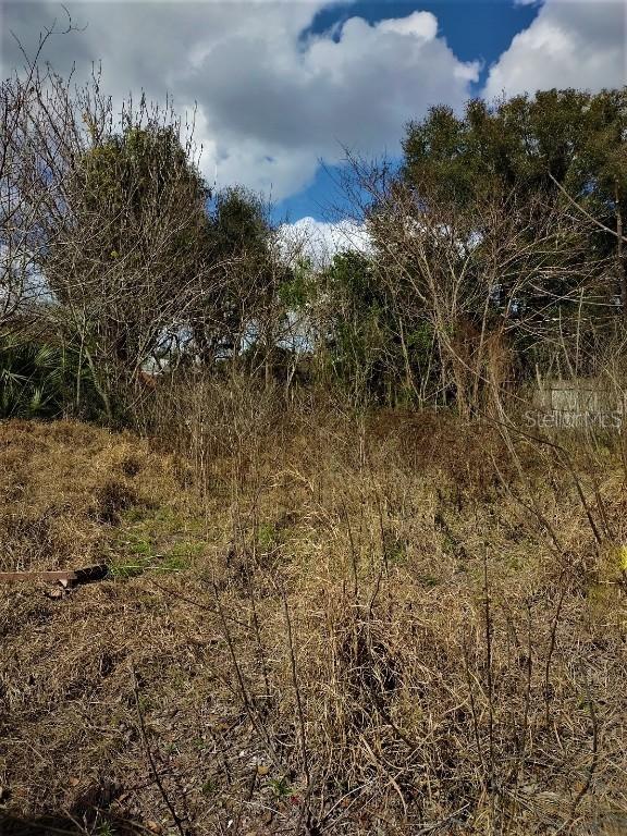 206 North Blvd., Davenport, FL 33837