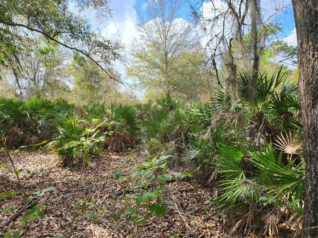 Club Cir., Lake Wales, FL 33898