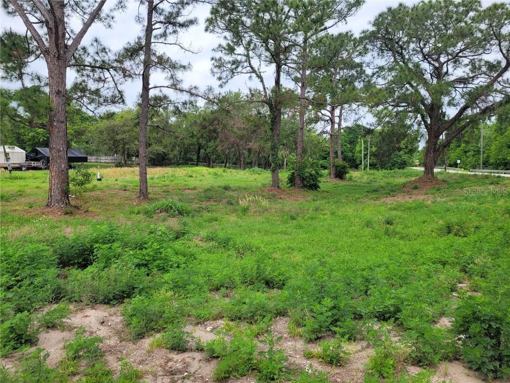 6735 Tackle Ct., Lake Wales, FL 33898