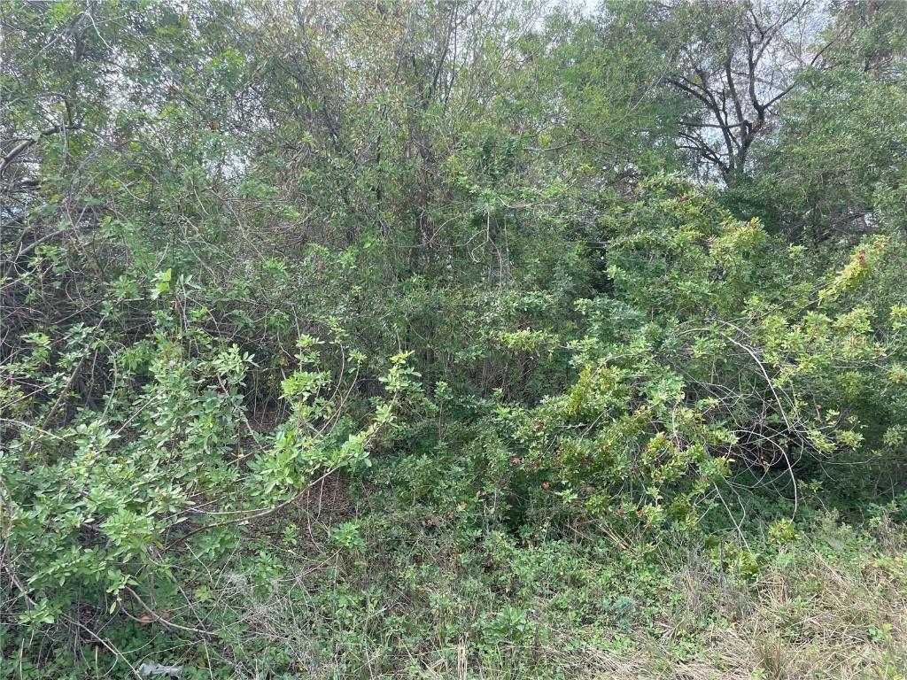 2215 E Main St., Lakeland, FL 33801