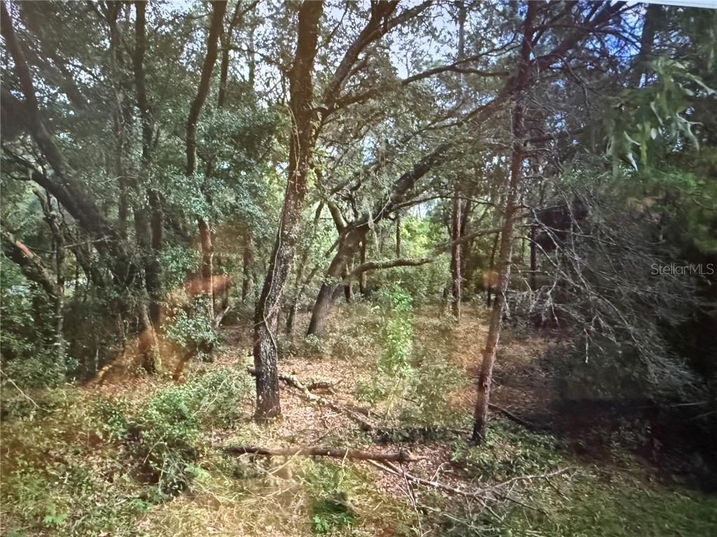 NE 117th Ave Ave., Fort Mc Coy, FL 32134