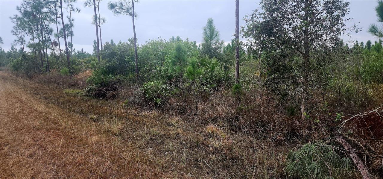 619 Calendula Dr., Indian Lake Estates, FL 33855