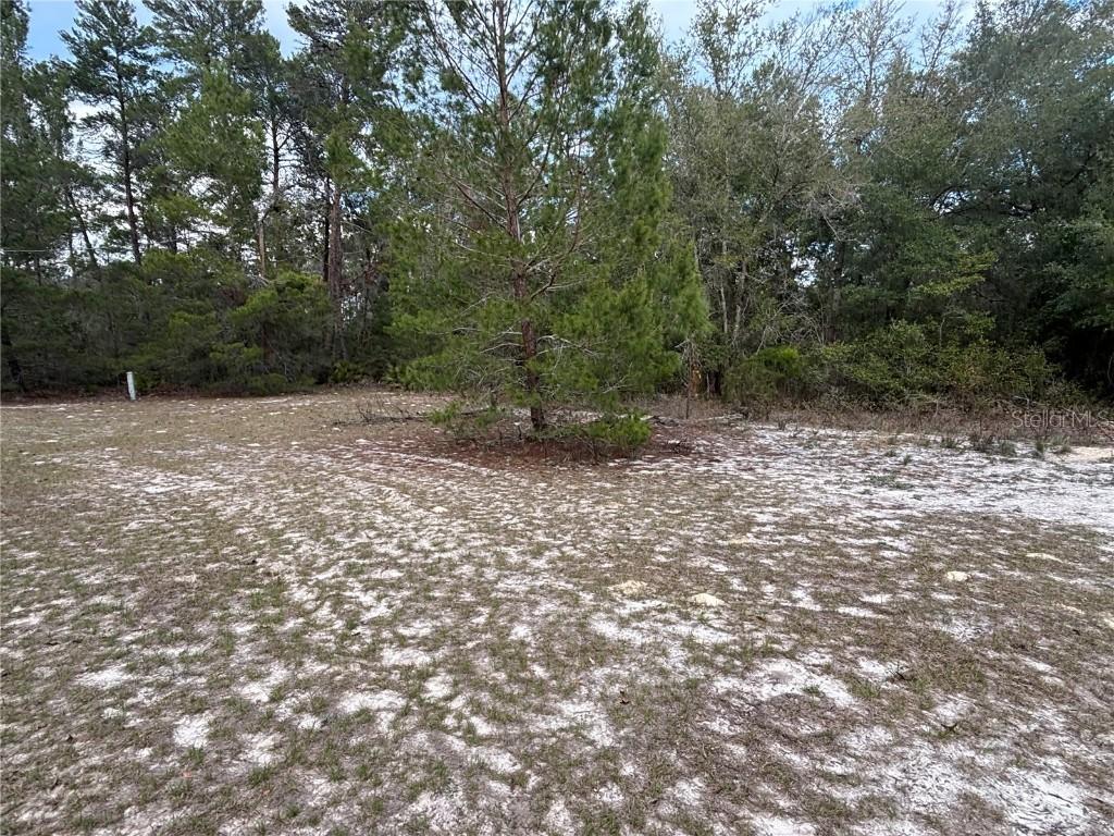 101 Quail Acre Rd., Pomona Park, FL 32181