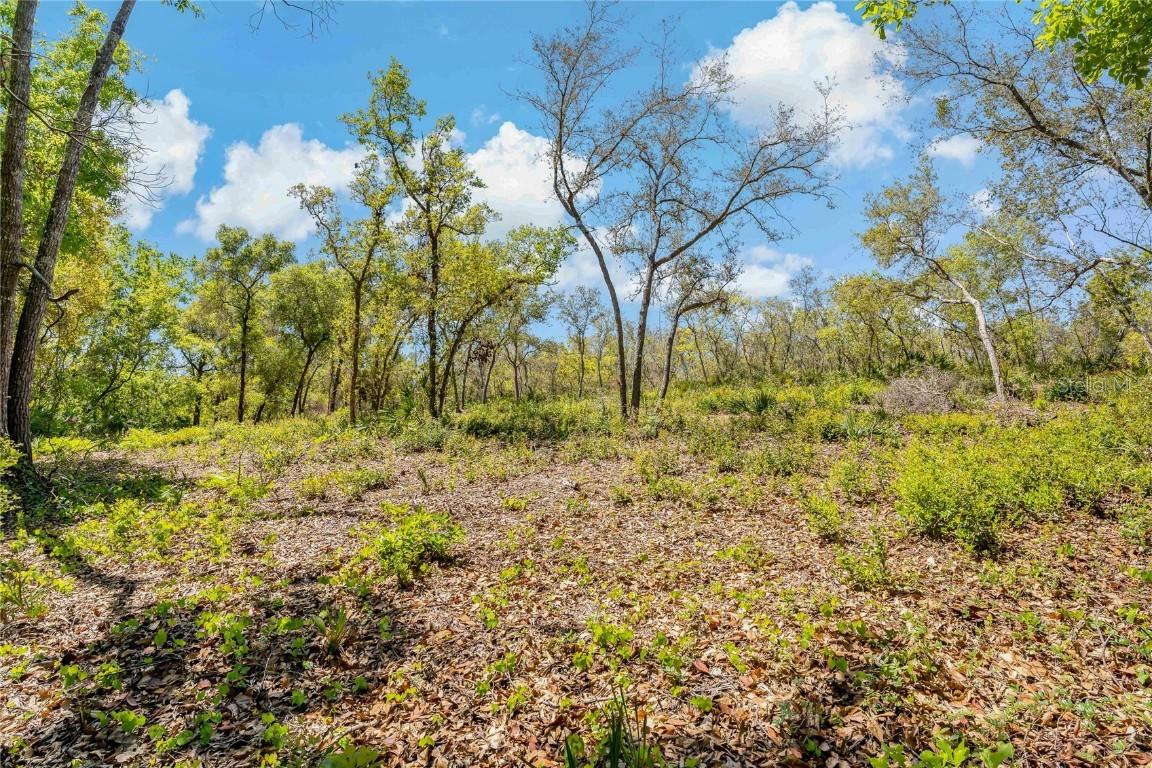 2135 Bear Run N Run, Frostproof, FL 33843
