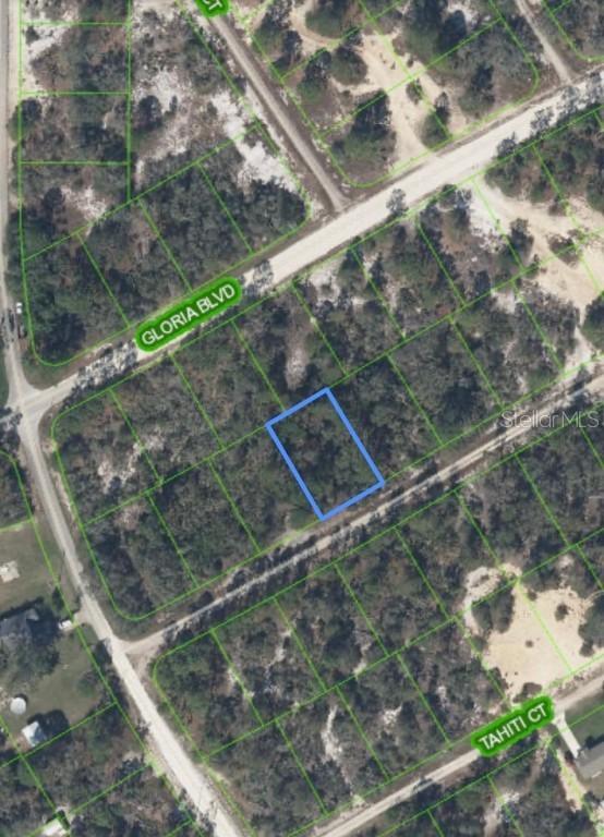 406 Allegheny Ave., Lake Placid, FL 33852