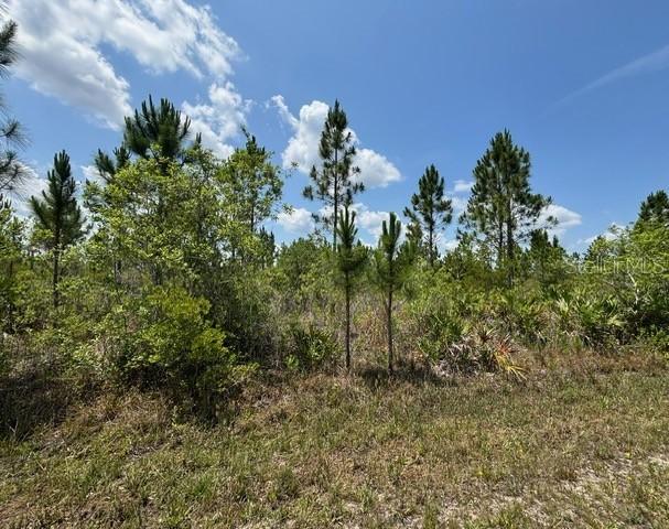 1015 Calliandra Dr., Indian Lake Estates, FL 33855