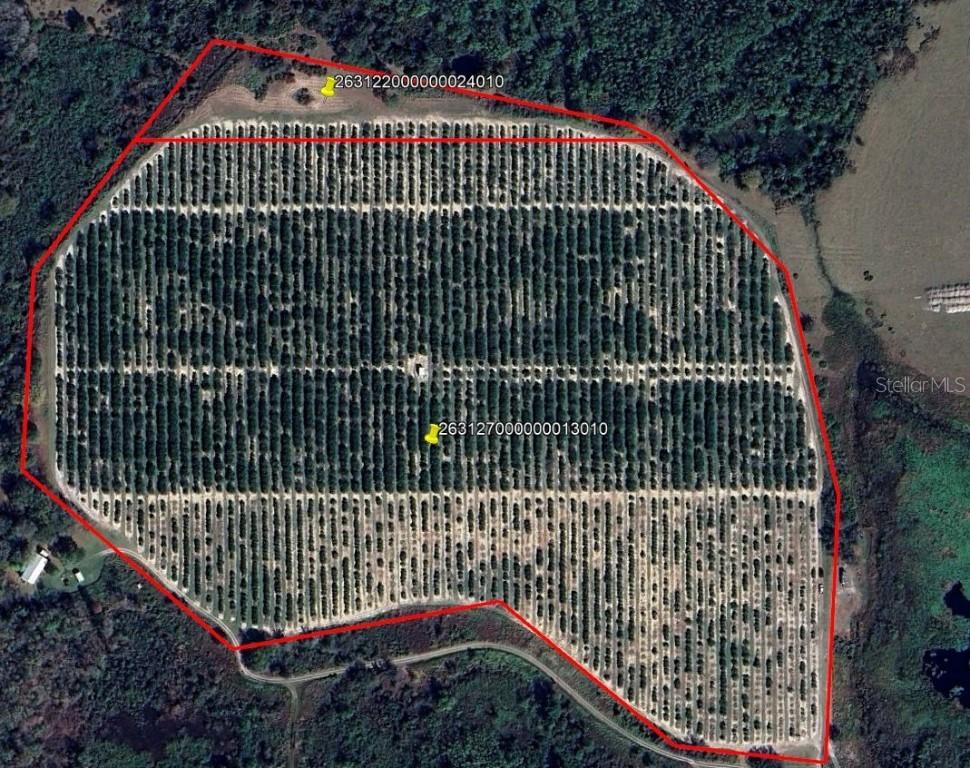 Buffum Church Rd., Fort Meade, FL 33841