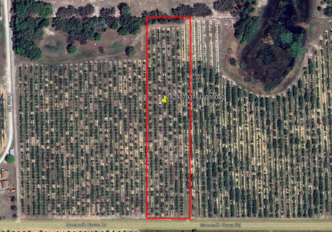 Mammoth Grove Road, Lake Wales, FL 33898