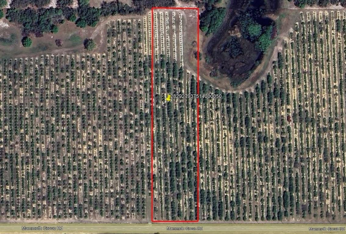 Mammoth Grove Road, Lake Wales, FL 33898