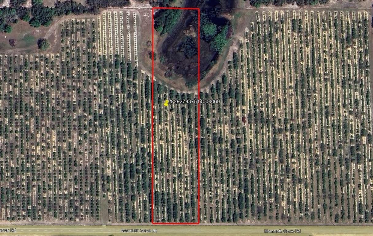 Mammoth Grove Road, Lake Wales, FL 33898