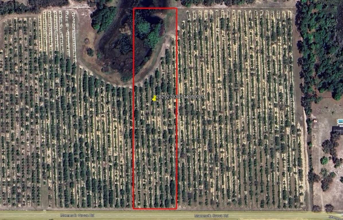 Mammoth Grove Road, Lake Wales, FL 33898