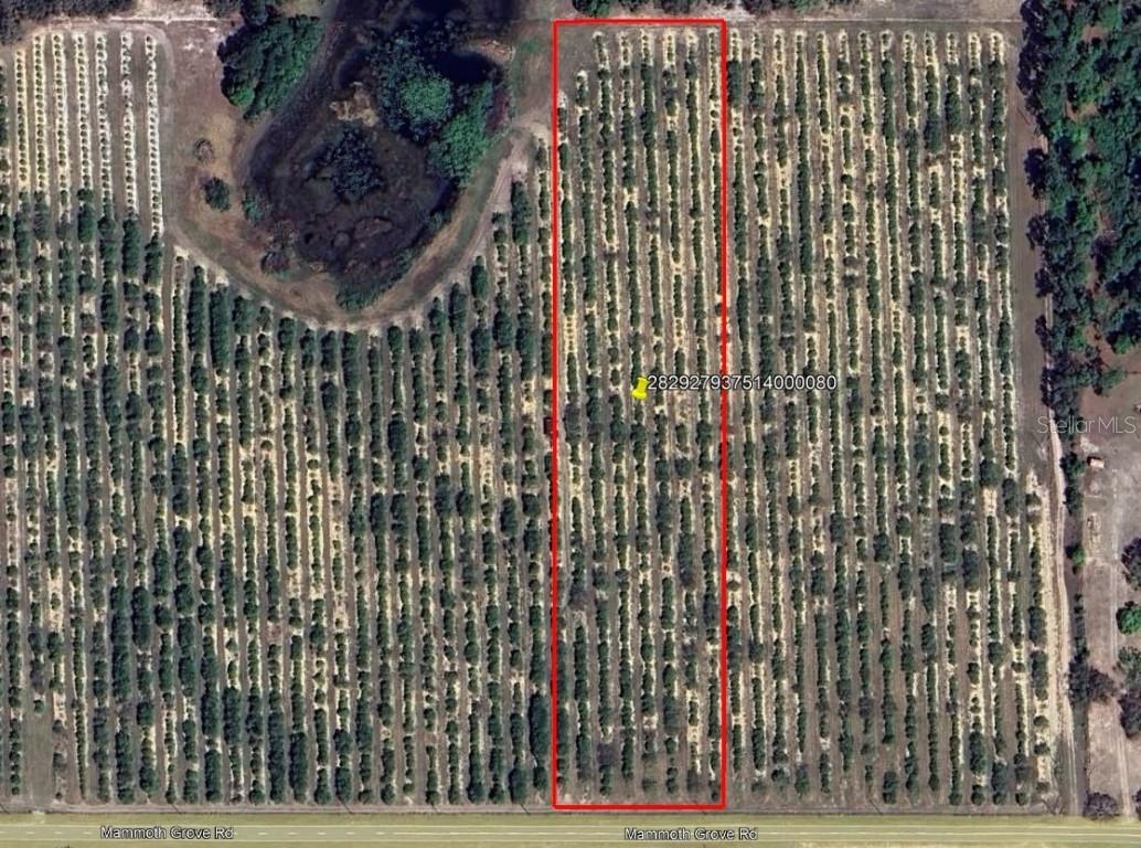 Mammoth Grove Road, Lake Wales, FL 33898