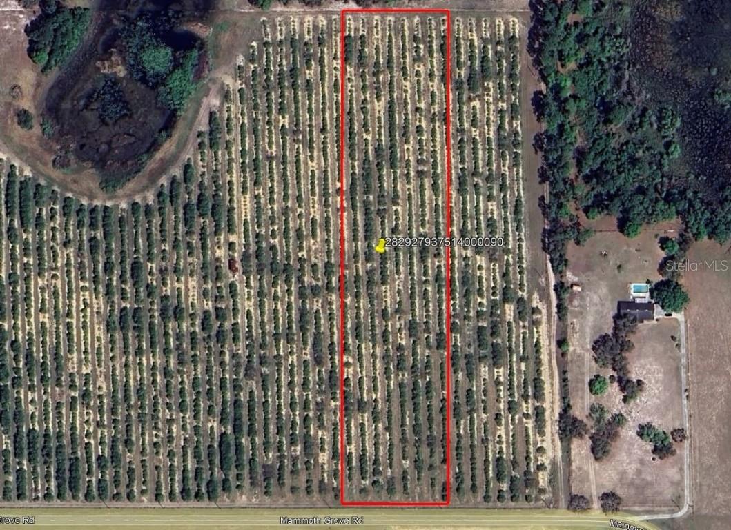 Mammoth Grove Road, Lake Wales, FL 33898