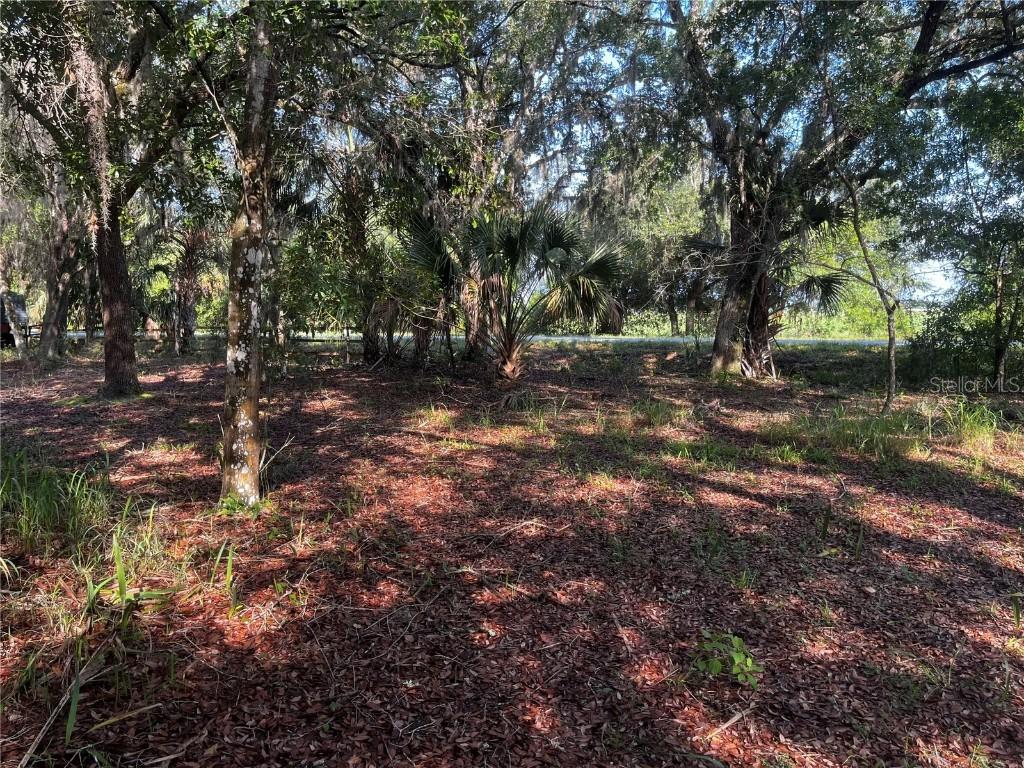 Camp Mack Rd., Lake Wales, FL 33898