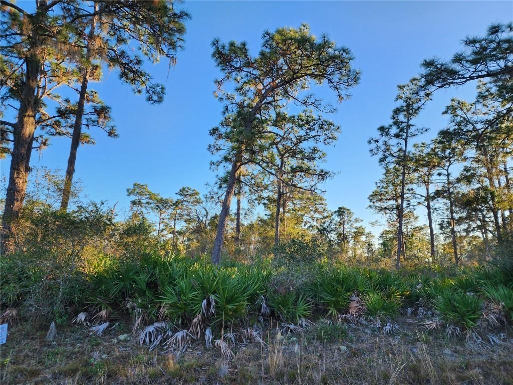 Camellia Dr., Indian Lake Estates, FL 33855