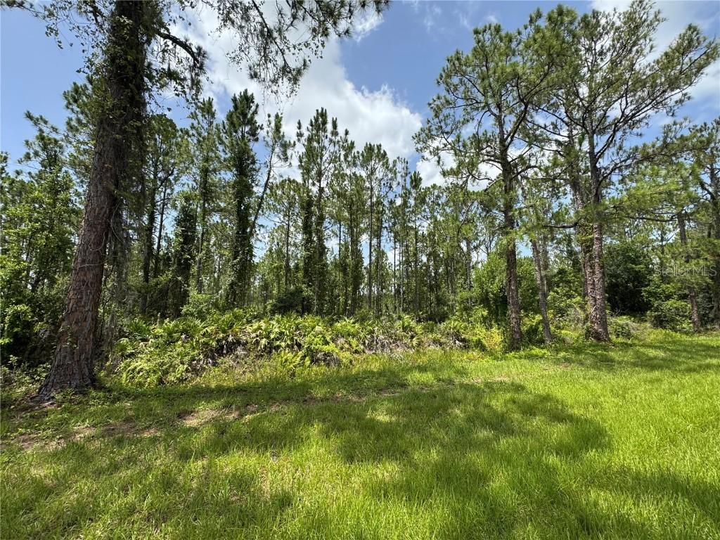 Hwy 630 E, Frostproof, FL 33843