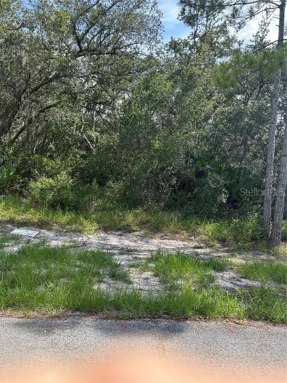 1537 Tallahassee Dr., Kissimmee, FL 34759