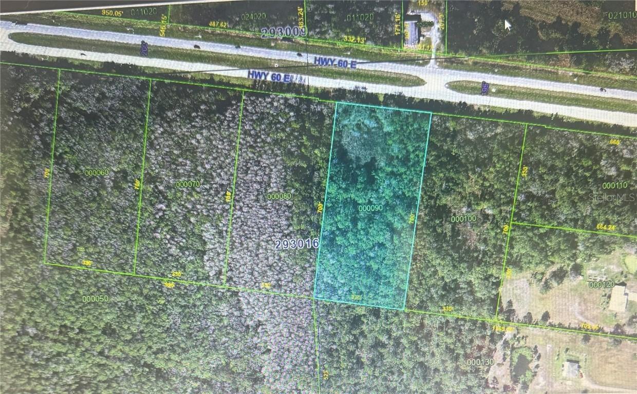 State Road 60 E Lot 9 Rd., Lake Wales, FL 33898