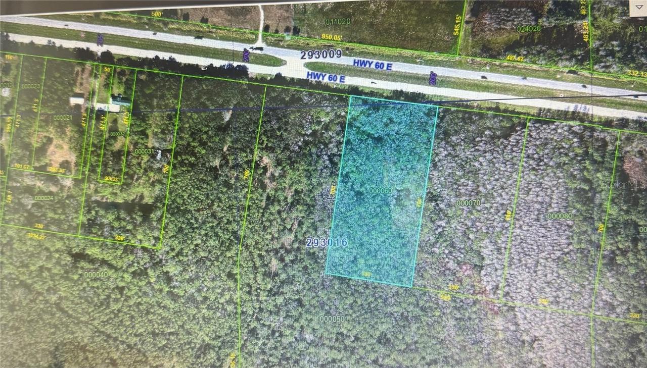 State Road 60 E Lot 6 Rd., Lake Wales, FL 33898
