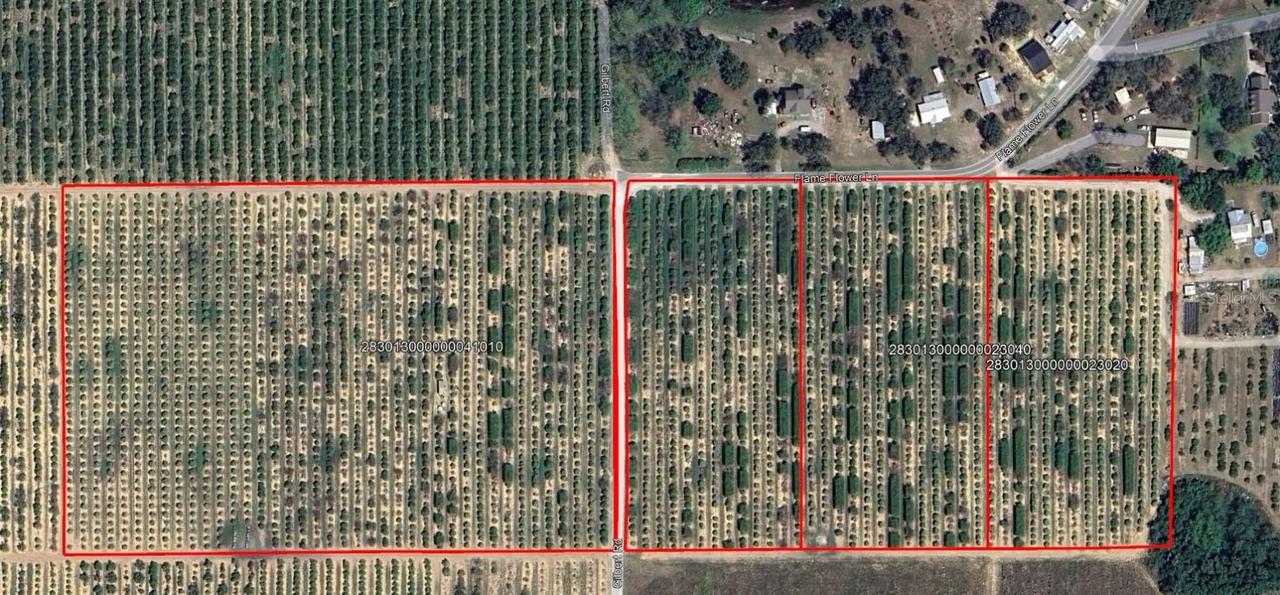 Goldenbough Rd., Lake Wales, FL 33898