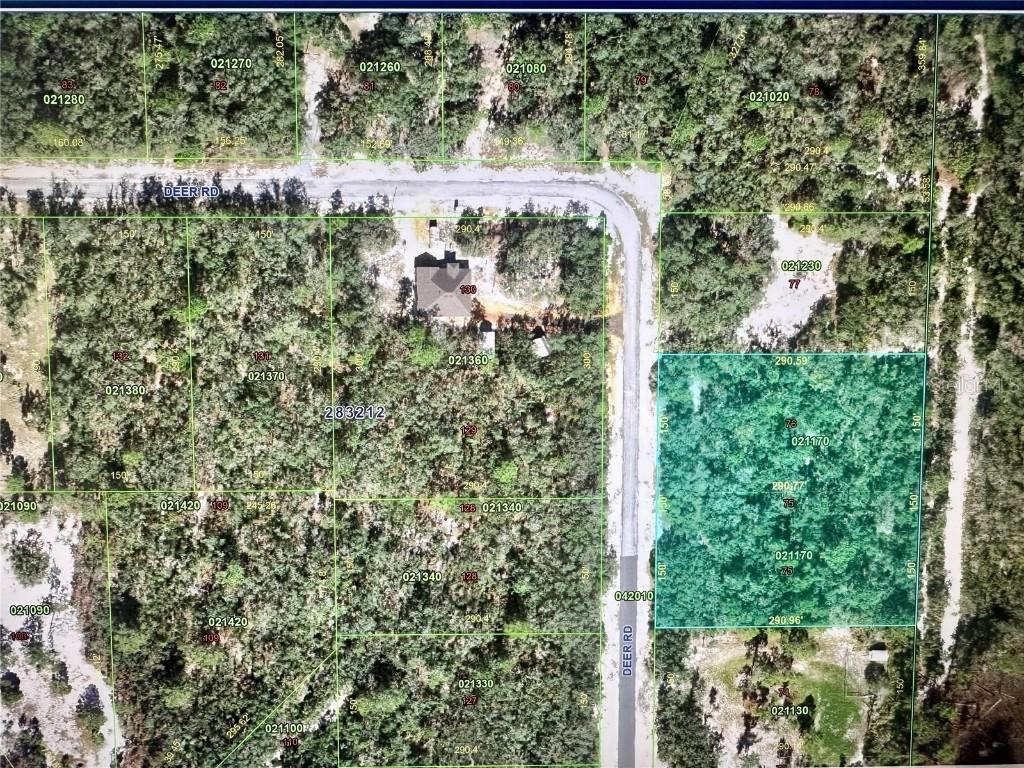 Deer Rd., Frostproof, FL 33843