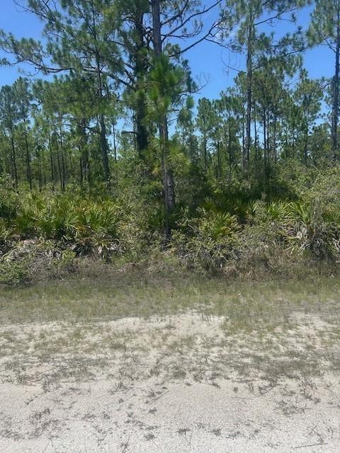 1018 Calendula Dr., Indian Lake Estates, FL 33855