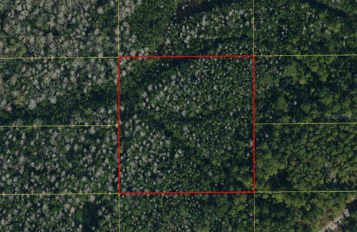 Holopaw Groves Rd., St Cloud, FL 34773