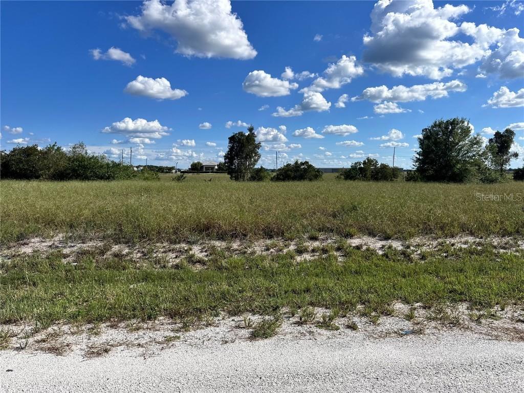 1669 W Fondulac Rd, Avon Park, FL 33825