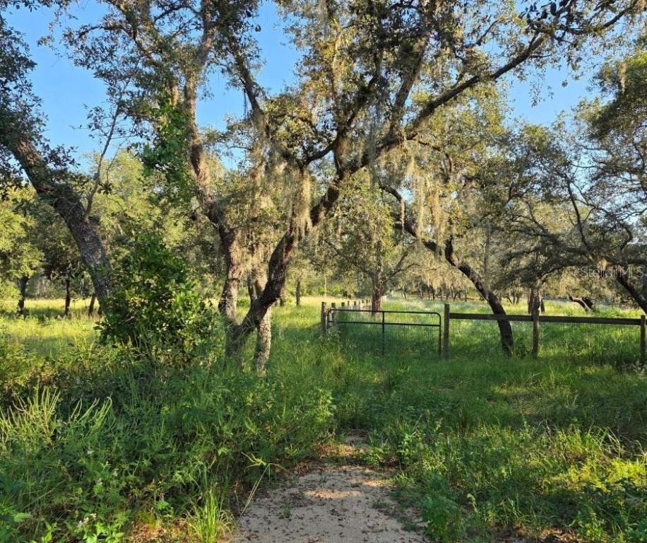 1600 Watkins Rd., Haines City, FL 33844