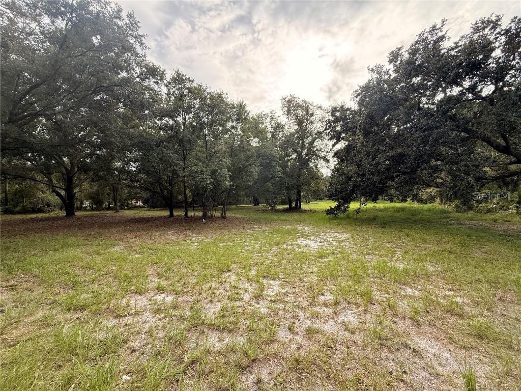 7805 Turkey Creek Rd., Plant City, FL 33567