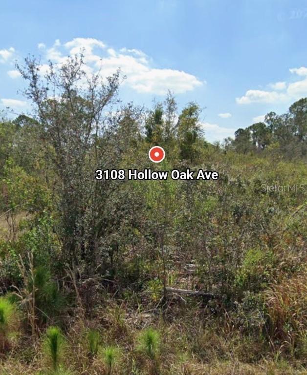 3108 Hollow Oak Ave., Lake Placid, FL 33852