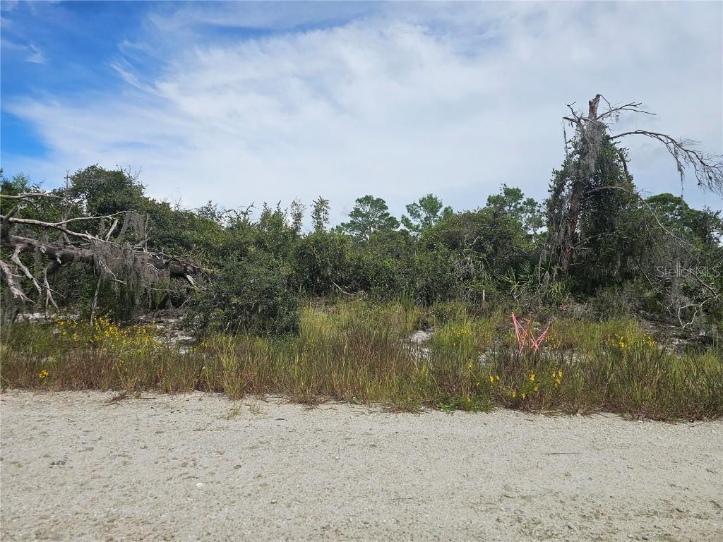 123 Patton Ave., Lake Placid, FL 33852