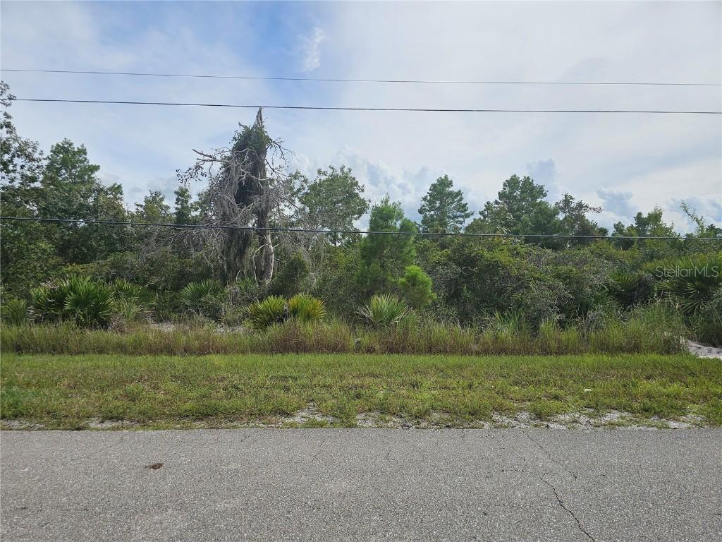 1009 Lotus St., Lake Placid, FL 33852