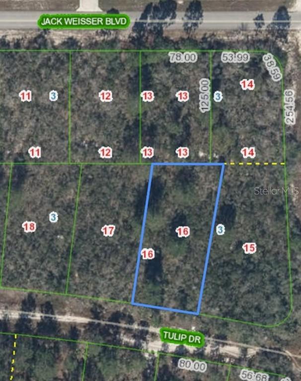 286 Tulip Dr., Lake Placid, FL 33852