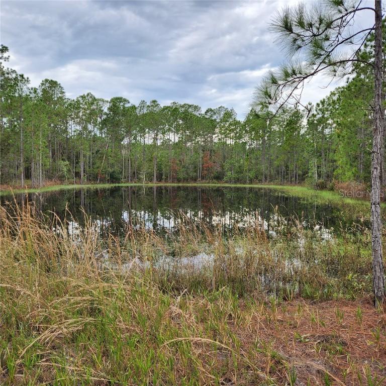 LOT 2 S South Shore Dr., Lake Wales, FL 33898