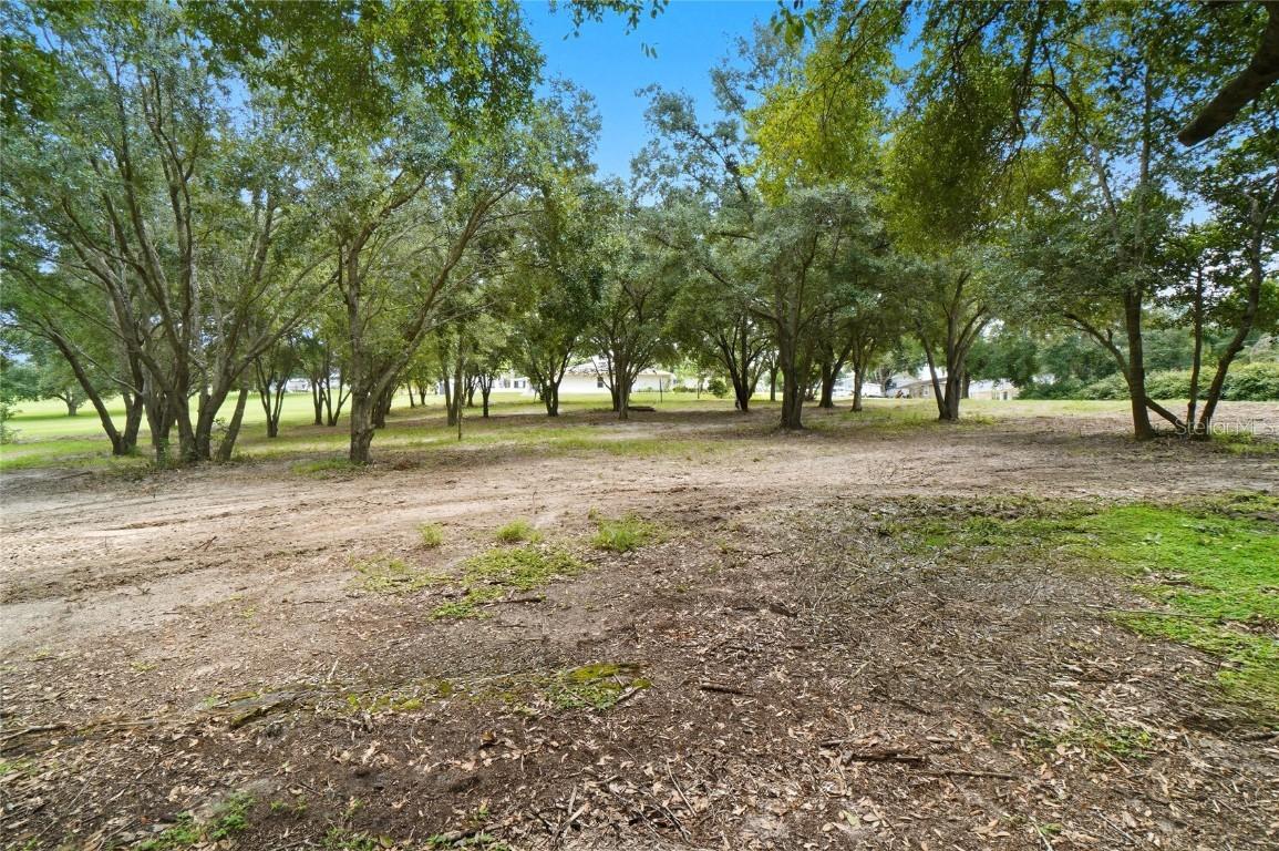 Sample Ave., Lake Hamilton, FL 33851