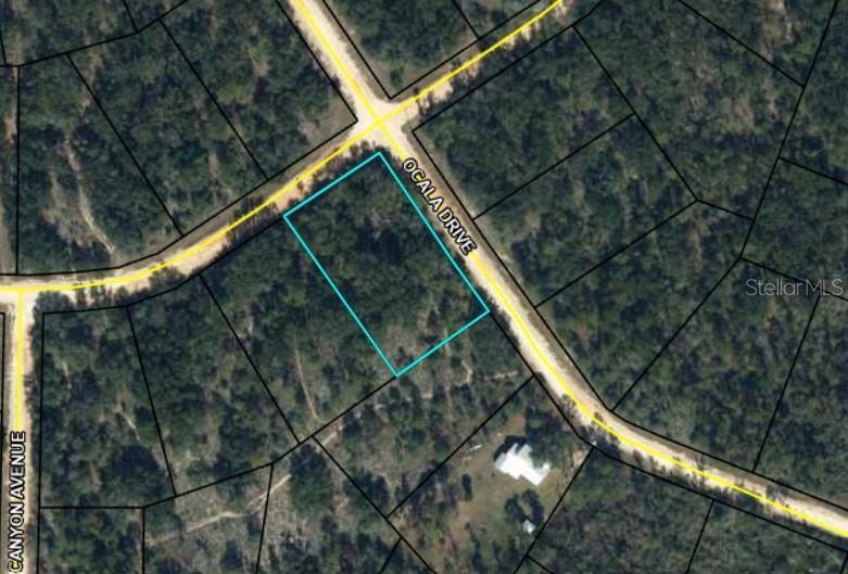 Ocala Dr., Alford, FL 32420