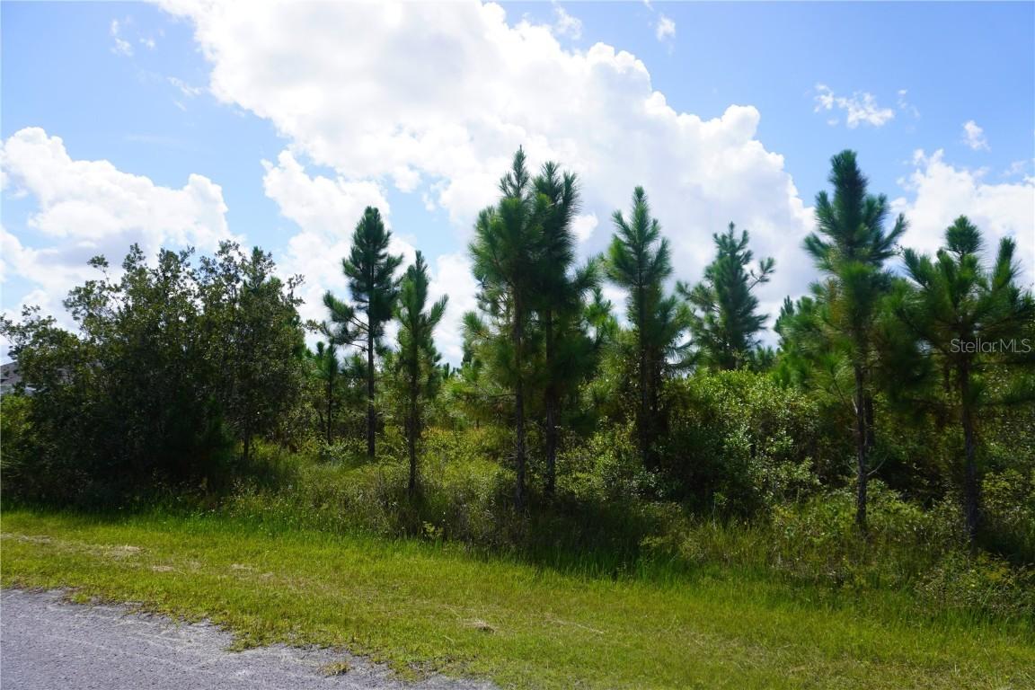 221 Tropicana Dr., Indian Lake Estates, FL 33855